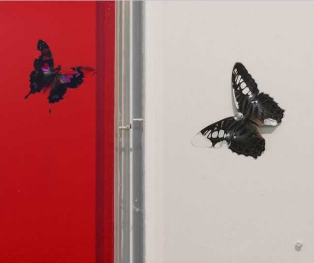 The personal exhibition of Damien Hirst
