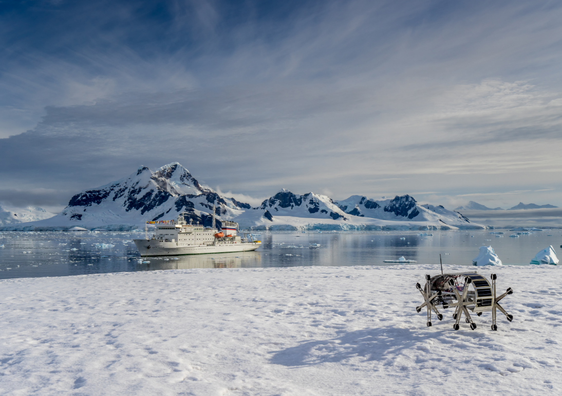 Round table “Antarctic biennial as a socio-cultural phenomenon”