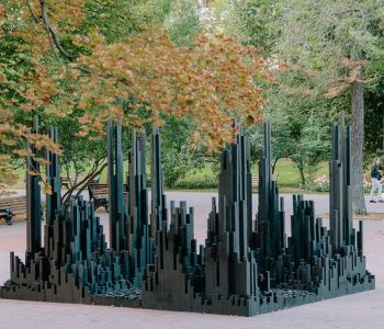 «Черный лес». Инсталляция Алексея Мартинса установлена в Парке Горького