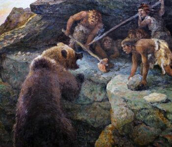 Выставка «Человек и медведь»