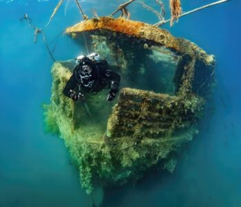 VIII Фестиваль подводной фотографии «Дикий подводный мир»